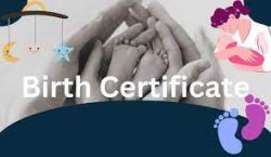 UK Birth Certificate Reference Number