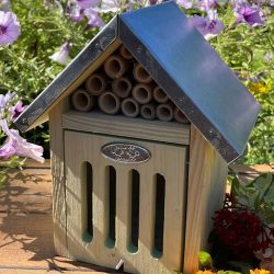 carpenter bee house