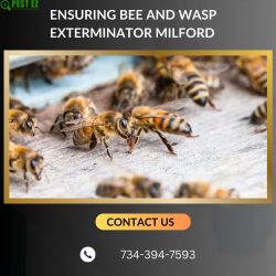 Ensuring Bee and Wasp Exterminator Milford