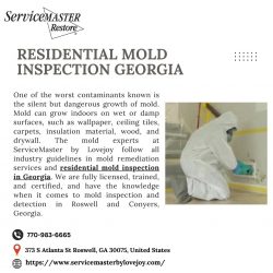 Expert Residential Mold Inspections Across Georgia