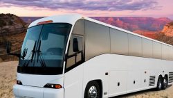 Brooklyn NY Charter Bus Rental & Mini Coach Rentals Near Me