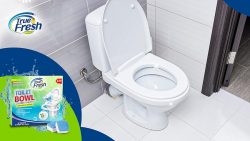 True Fresh Toilet Bowl Cleaner Tablets