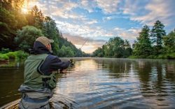 Unforgettable Dorrigo Trout Fishing Adventures: Plan Your Trip Now