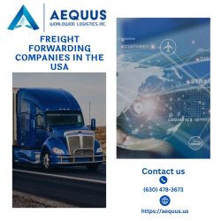 Maximizing Efficiency: How Aequus Worldwide Logistics Sets the Standard among Freight Forwarding ...