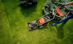 Professional Garden Maintenance Services in Manchester