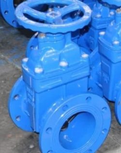 Gate Valve Manufacturer in India