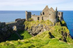 Giants Causeway Trip from Belfast