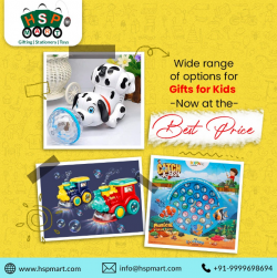 Wide Range Of Toys Options For Kids