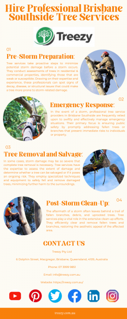 Hire Professional Brisbane Southside Tree Services