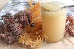 Real Sea Moss Gel