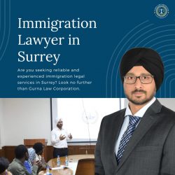 Immigration Lawyer in Surrey