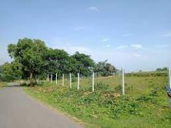 Nature’s Retreat: Managed Farmland Living Near Little England at Lakeview Farms.