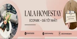 Thuê căn hộ Homestay Ecopark