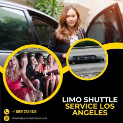 Top Limo Shuttle Service in Los Angeles