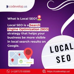 Local Seo Services