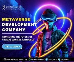 Metaverse Development Company