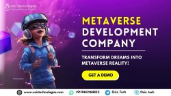 Metaverse Development Company