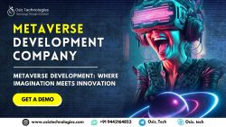 Metaverse Development Company