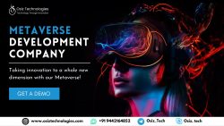 Metaverse Development Company