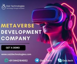 Metaverse Development Company