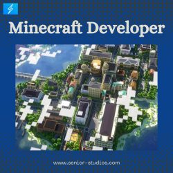 Minecraft Developer