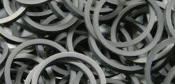 oil seal