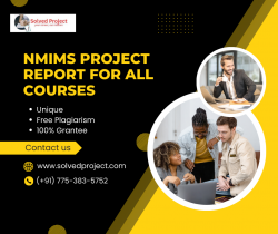 NMIMS Project Reports for All Courses