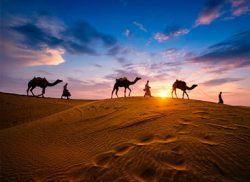 Best Rajasthan Tour Packages