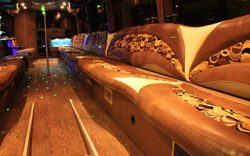 The Best Rates On Limo And Party Bus Rentals In Kalamazoo