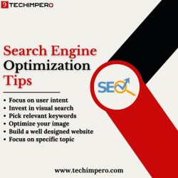 Leading SEO Company in Delhi | Techimpero