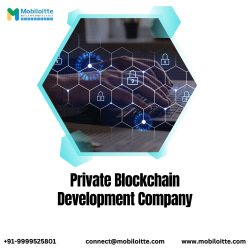 Private Blockchain Development Company