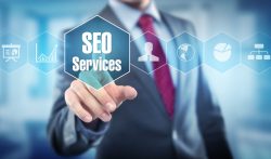 SEO Expert in Tampa bay area