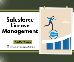 Best Salesforce License Management – Salesforce Usage Analysis