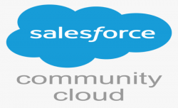 Choose Top Salesforce experience cloud consulting