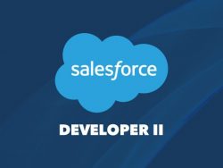 Salesforce Developer Training Online and Certification Course