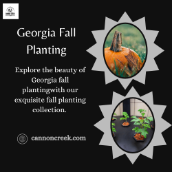 Georgia Fall Planting