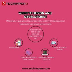 Discover the Best Website Designing Company in Delhi | Techimpero