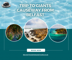 Trip to Giants Causeway from Belfast