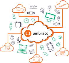 Elevate Your Digital Presence With Saffron Tech’s Expert Umbraco Development Services