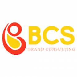 bcs consulting