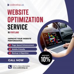 WEBSITE OPTIMIZATION SERVICES