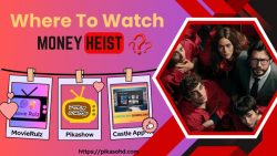 Where To Watch The Money Heist