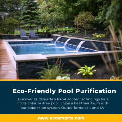 Chlorine Free Pool System