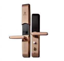 High-quality Advanced Multi-functional sliding smart lock