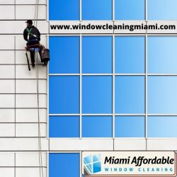 Disclosing Urban Aesthetics with Professional Window Cleaning