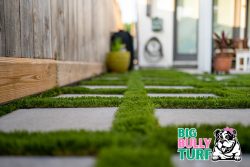 Artificial Grass