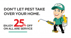 Ankita Pest Control – Your Trusted Partner in Pest Control Solutions in Mumbai