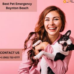 Best Pet Emergency Boynton Beach