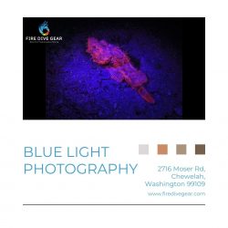 Blue Light Photography