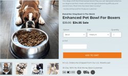 French Bulldog Bowl